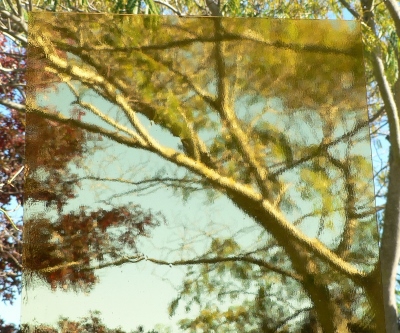 SP1102S  Pale Amber Smooth