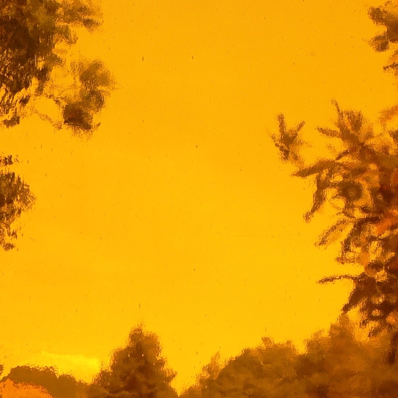 OGT1108SF  Medium Amber Smooth